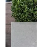 Natural - Block