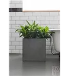 Natural - Block Natural - Block