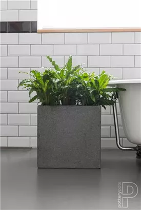 Natural - Block