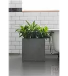 Natural - Block