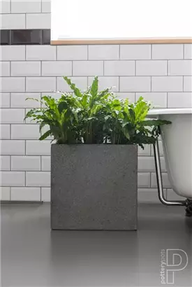 Natural - Block