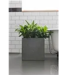 Natural - Block