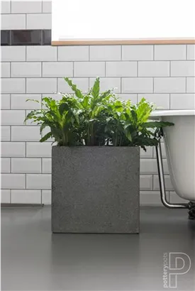 Natural - Block