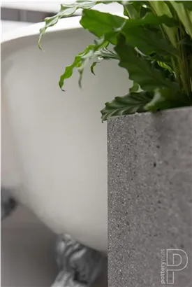 Natural - Block