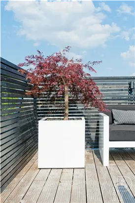Natural - Block