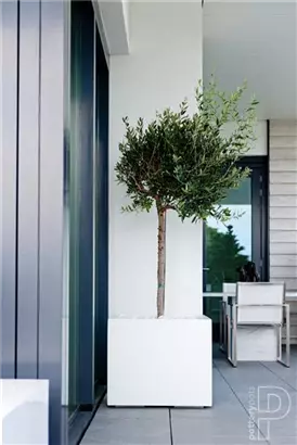 Natural - Block