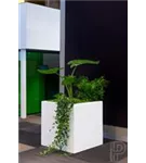 Natural - Block Natural - Block