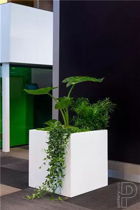 Natural - Block