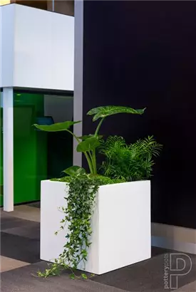Natural - Block