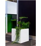 Natural - Block