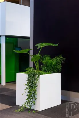 Natural - Block
