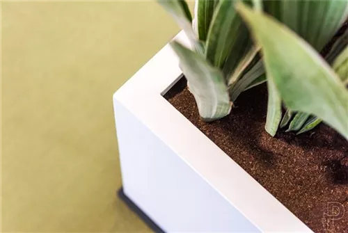 Natural - Block