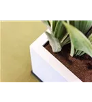 Natural - Block Natural - Block