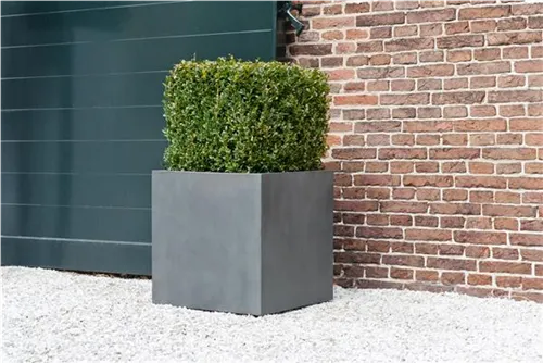 Natural - Block