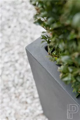 Natural - Block Natural - Block