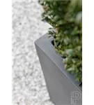 Natural - Block