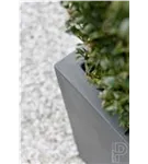 Natural - Block