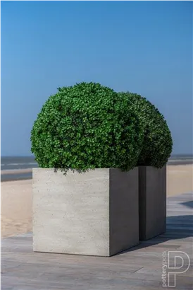 Natural - Block