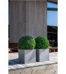 Natural - Block