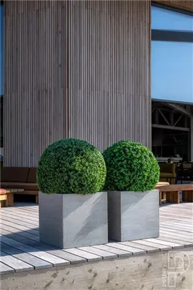Natural - Block
