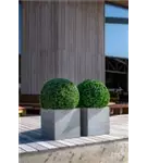 Natural - Block