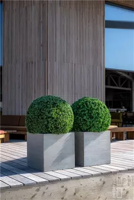 Natural - Block