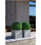 Natural - Block