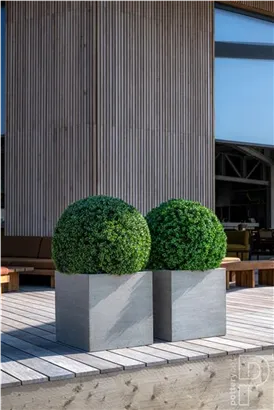 Natural - Block