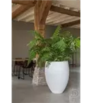 Natural - Bond