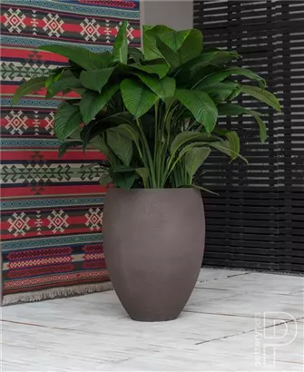 Natural - Bond Natural - Bond