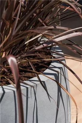 Natural - Bond Natural - Bond