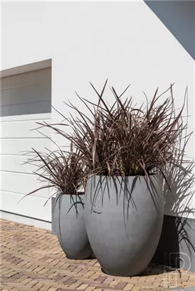 Natural - Bond Natural - Bond