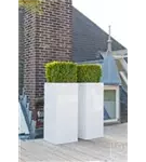 Cement - Bouvy