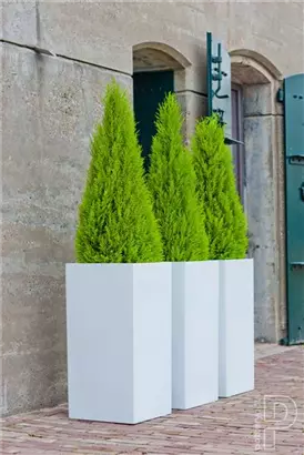 Cement - Bouvy