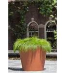 Natural - Bucket Natural - Bucket