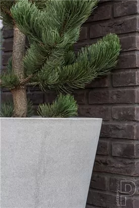 Natural - Bucket Natural - Bucket