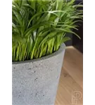 Natural - Bucket Natural - Bucket