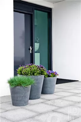 Natural - Bucket Natural - Bucket