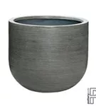 Ridged - Cody Ridged - Cody