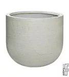 Ridged - Cody Ridged - Cody