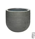 Ridged - Cody Ridged - Cody