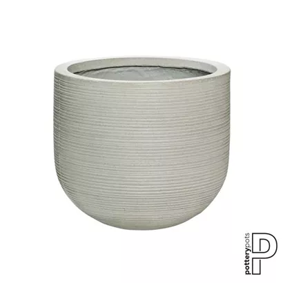 Ridged - Cody Ridged - Cody