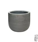 Ridged - Cody Ridged - Cody