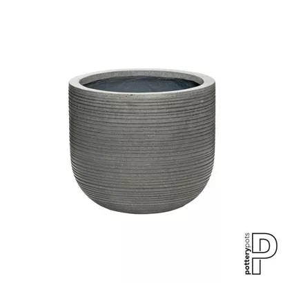 Ridged - Cody Ridged - Cody