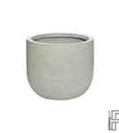 Ridged - Cody Ridged - Cody