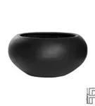 Natural - Cora Natural - Cora