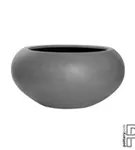 Natural - Cora Natural - Cora