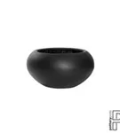 Natural - Cora Natural - Cora