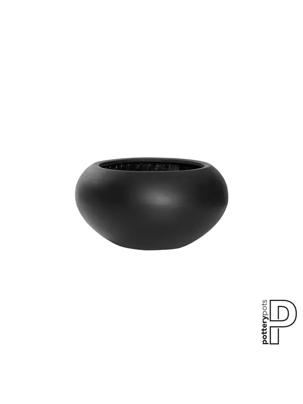 Natural - Cora Natural - Cora