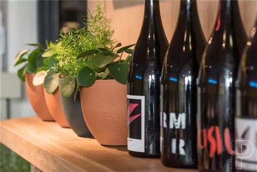 Refined - Coral Refined - Coral